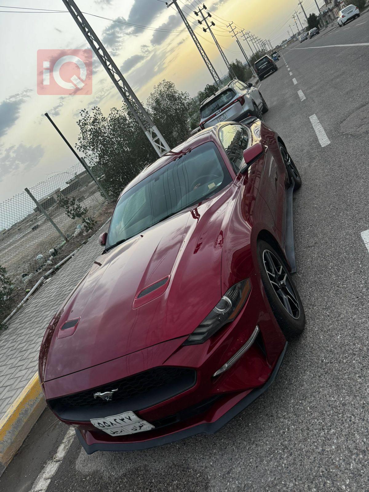 فورد موستانج